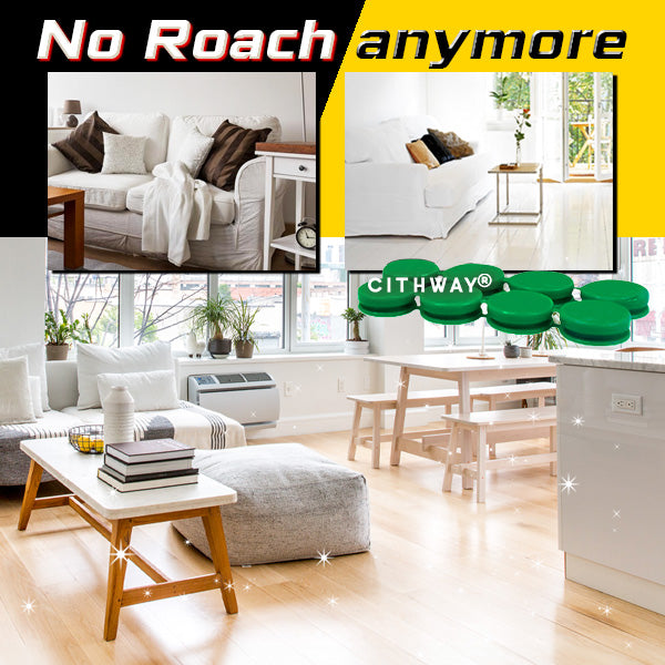 Cithway® Quickatch Roach Ace Bait Station